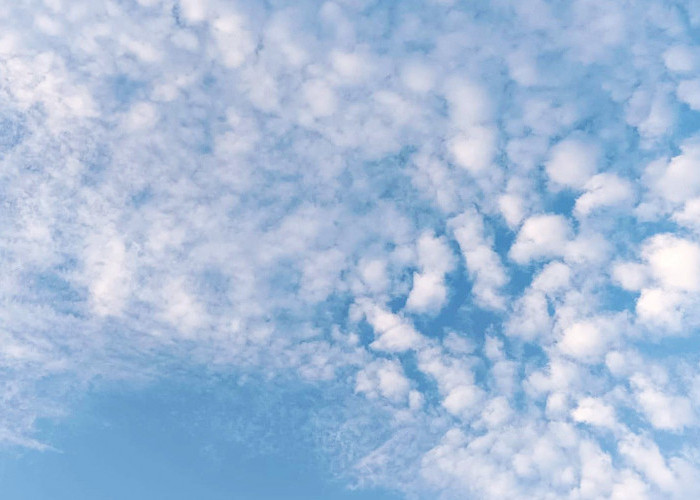 Ramalan Cuaca Kaltim dan IKN, 2 Oktober 2025, Cek di Sini!