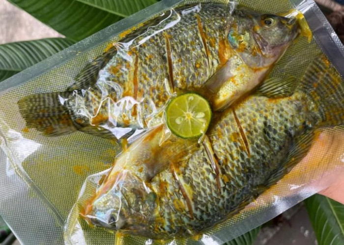 Inovasi Pemasaran Hasil Perikanan di PPU, Kemas dengan Bumbu dan Siap Goreng