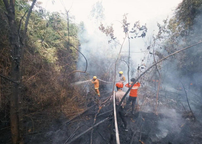 Kukar Mulai Hitung Tambahan Anggaran untuk Penanganan Karhutla
