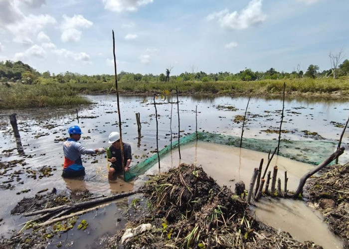 Kemarau, Debit Air Baku Perumda AMDT PPU di Sungai Lawe-Lawe Anjlok