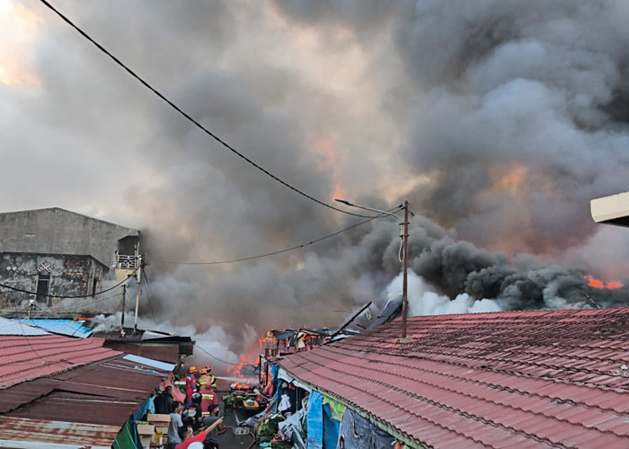 DPRD Balikpapan Dukung Anggaran BTT untuk Revitalisasi Pasar Sepinggan yang Terbakar 