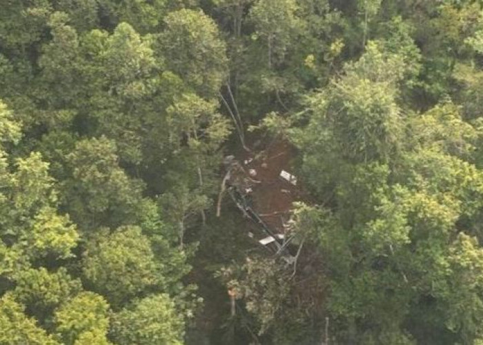 Helikopter PK-CFX Jatuh di Sekadau Kalimantan Barat, Serpihan Diduga Bagian Ekor Ditemukan
