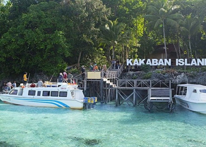 Pengelolaan Pulau Kakaban Belum Jelas, DPRD Kaltim Minta Manfaat Wisata Tetap untuk Masyarakat Berau