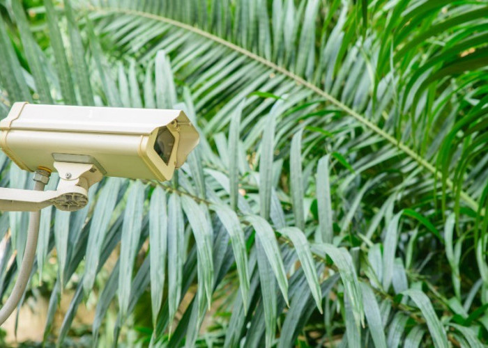 Cegah Perbuatan Mesum dan Perusakan Fasum, Mangrove Eco Park Bontang Dipantau CCTV