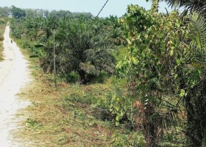 TPST Senilai Rp107 Miliar Akan Dibangun di Loa Ipuh Kukar, Ditarget Rampung 2029