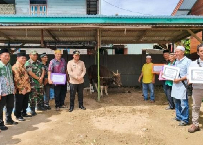 8 Masjid di Mahulu Dapat Bantuan Hewan Kurban, 7 dari Pemkab 1 dari Presiden