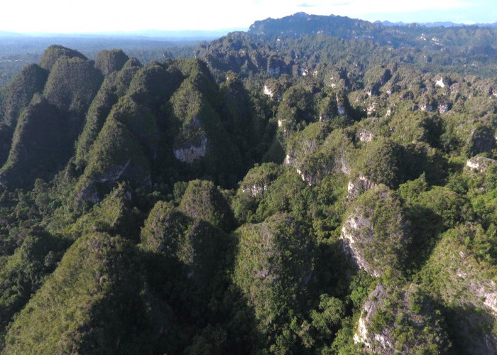 Pemprov Kaltim Dorong Geopark Sangkulirang-Mangkalihat Tembus Pengakuan Internasional