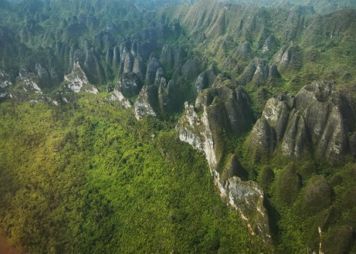 Selamatkan Karst, Komunitas di Kutim Desak Geopark Sangkulirang-Mangkalihat Segera Diakui UNESCO