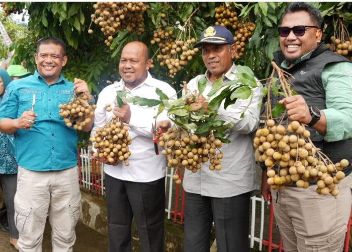 Keberadaan IKN Mendorong Paser Wujudkan Kemandirian Pangan