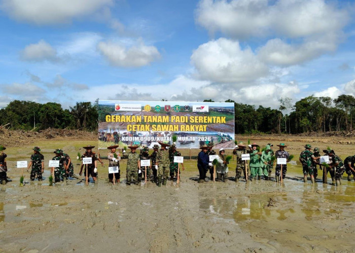 Kutim Targetkan Cetak 20 Ribu Hektar Sawah untuk Dukung Gerakan Tanam Padi Nasional
