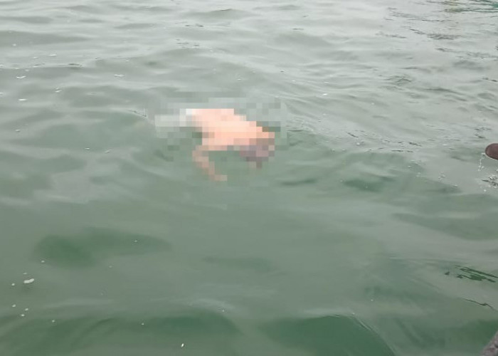 Diduga Keram Kaki, Mantan Camat Samarinda Ulu Ditemukan Meninggal Mengapung di Bontang Kuala