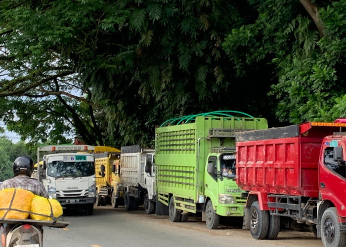 BPH Migas Disebut Sepakat Tambah Kuota Solar di Balikpapan, DPRD: Jangan Sampai Sopir Menginap di SPBU 