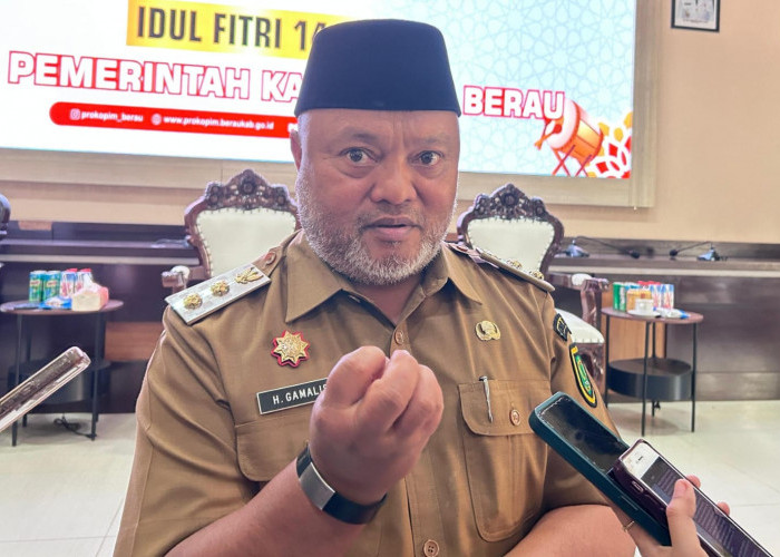 Pemangkasan Produksi Batubara 2026 Ancam PAD Berau, Pemkab Mulai Dorong Pergeseran Sumber Pendapatan