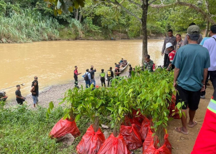Menyeberangi Sungai Kandilo dengan Renang, Warga di Desa Busui Paser Hilang Terseret Arus