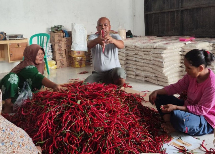 Perkuat Ketahanan Pangan dan Gizi Nasional, BRI Salurkan Pembiayaan Kepada Koperasi Penyuplai Bahan Pangan MBG