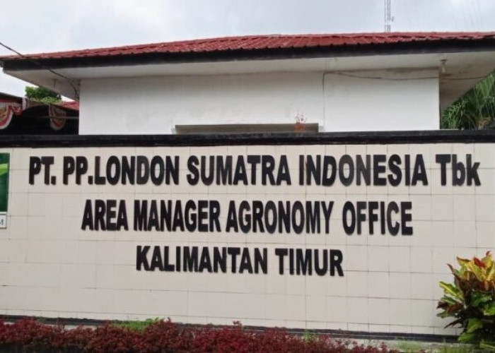 Status Digantung, Pekerja PT Lonsum Kedang Makmur Mengadu