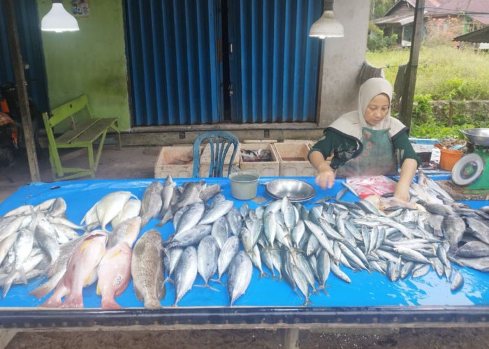 Produksi Perikanan Tangkap di PPU Ditargetkan 6.740 Ton pada 2026