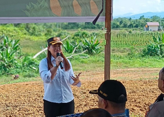 Solusi Tantangan Fiskal Daerah, Ketua DPRD Mahulu Minta Pemerintah Maksimalkan Pengembangan Sektor Pertanian 