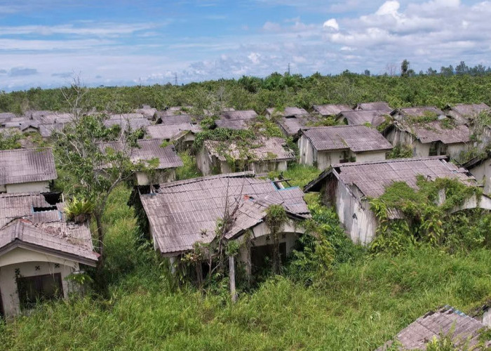 Terbengkalai Belasan Tahun, 2 Perumahan KORPRI di Kutim Nyaris Ditelan Semak Belukar