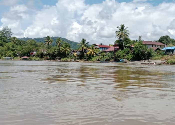 Masuknya Investasi dari Luar Jadi Ancaman Pelestarian Hutan di Mahulu