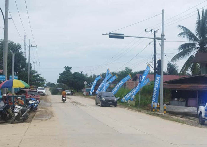 Jumlah Penduduk Penajam Paser Utara Berkurang 37 Ribu Jiwa setelah Sepaku Masuk IKN
