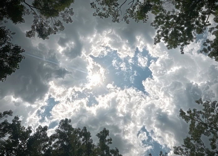 Ramalan Cuaca Kaltim dan IKN, 14 Februari 2026, Cek di Sini!