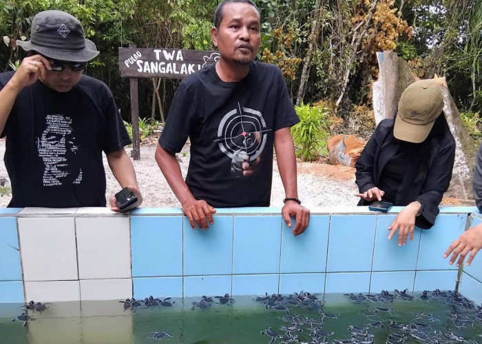 Upaya Konservasi di Pulau Sangalaki, Tim Terkendala Kurangnya Transportasi untuk Patroli