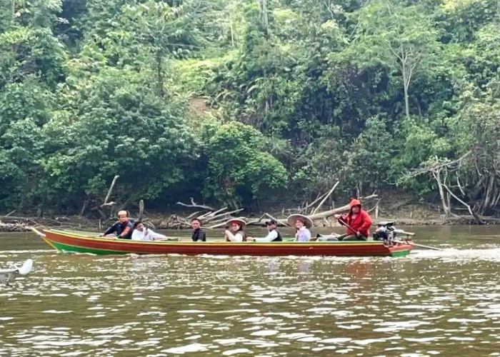 Musim Kemarau Jadi Peluang Ekonomi Bagi Taksi Ces di Wilayah Hulu Mahakam