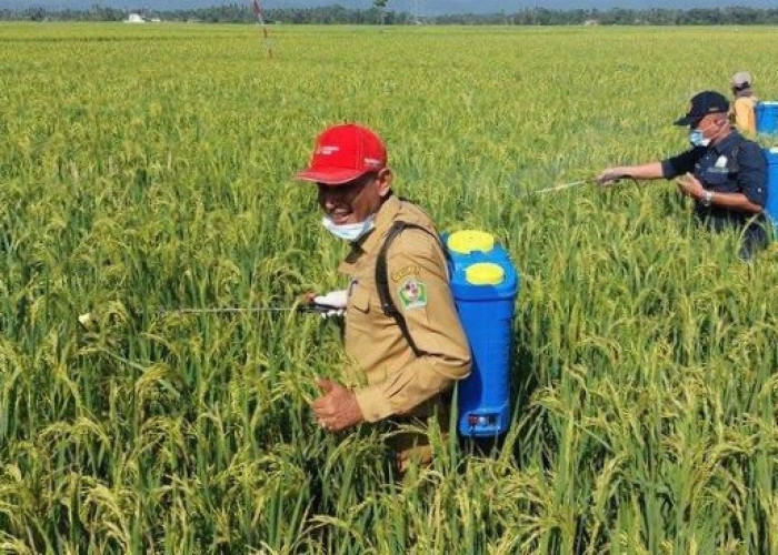 DPTPH Kaltim Bentuk 70 Brigade Pangan, Libatkan Petani Muda untuk Regenerasi