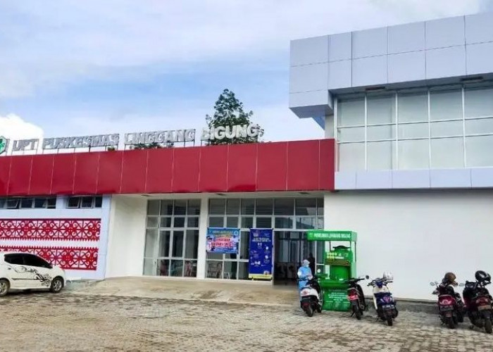 5 Tahun Fasilitas Puskesmas Linggang Bigung Bermasalah: Wastafel Tak Berfungsi, Sopir Ambulans Tak Ada