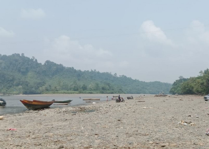 Bukan Hanya Hambat Logistik, Kemarau Panjang Berdampak pada Pertanian di Mahulu