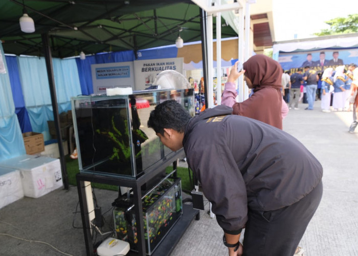 Festival Ikan Hias Berau Lebih Meriah Lagi Tahun Depan