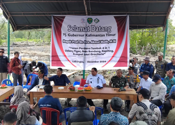 Tambak di Desa Labangka jadi Role Model Budidaya Perikanan Wilayah Mangrove