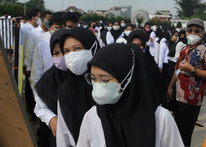 Kontrak Kerja Pegawai Non-ASN Resmi Berakhir, Pemkab Berau 'Putar Otak' Karyakan PTT