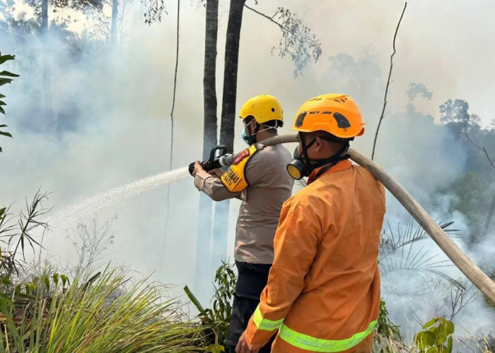 Polda Kaltim Proses 94 Kasus Karhutla, Kukar dan PPU Paling Banyak