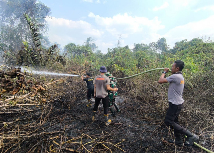 Karhutla di Paser Terus Meluas hingga 961 Hektare, Pemkab Perkuat Penanganan Lintas Sektor