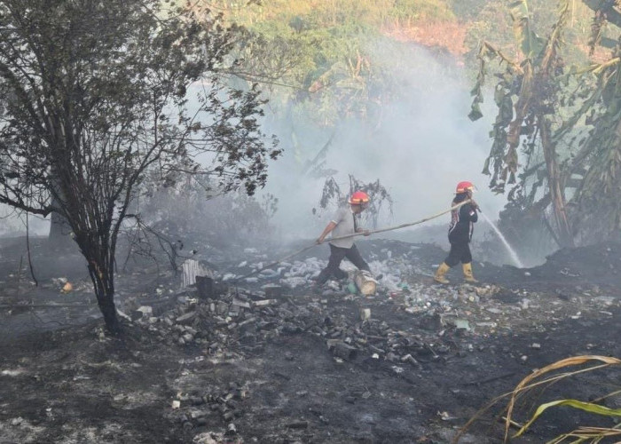 Presiden Aljazair Perintahkan Hukuman Mati bagi Pelaku Pembakaran Hutan