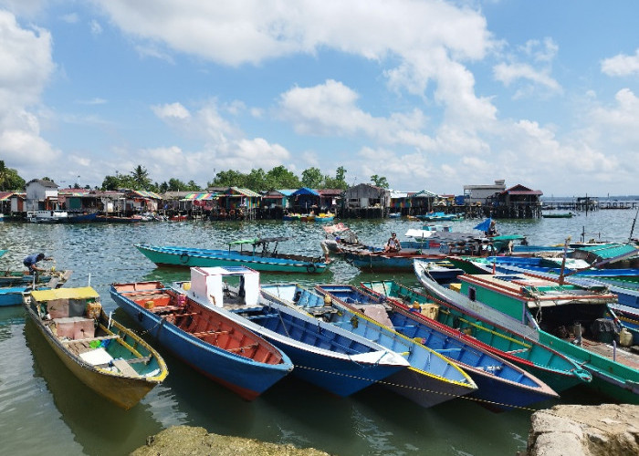 150 Kapal Kecil di PPU Masuk Daftar Tunggu Penerbitan 