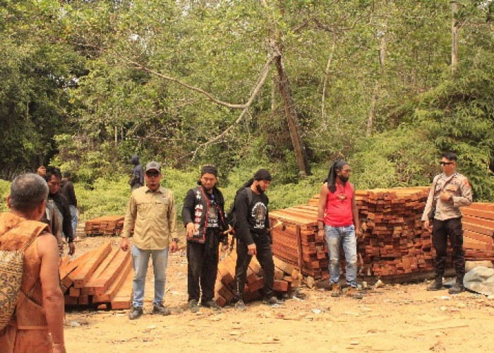 Masyarakat Dayak Basap Karangan Bersatu Lindungi Hutan Adat, Gerebek Lokasi Illegal Logging