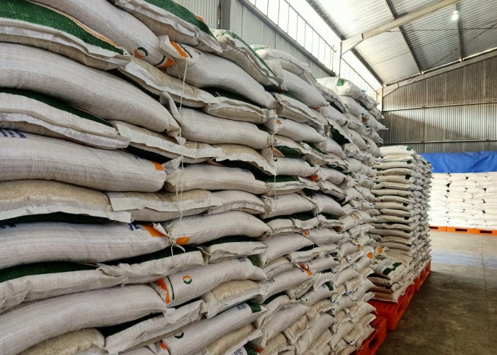 DKP Paser Tekan Biaya Operasional dalam Penyaluran Bantuan Desa Rawan Pangan 