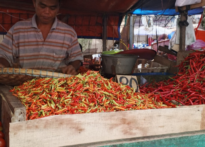 Disdag Balikpapan Pastikan Stok Pangan Masih Aman, Meski Harga Cabai dan Daging Naik