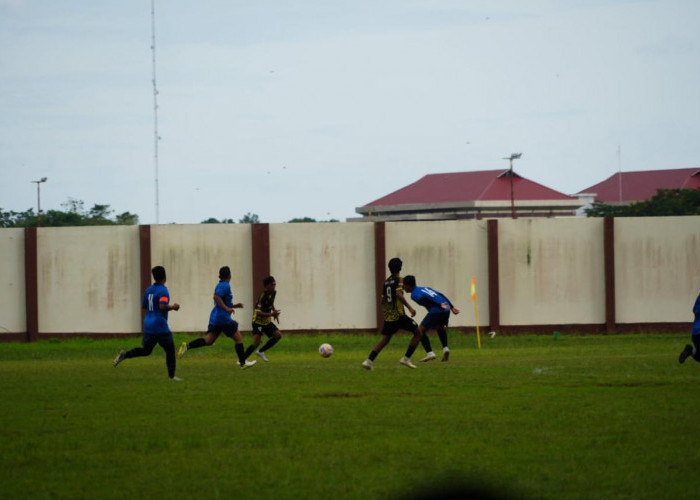 Anggaran Terbatas, 14 Cabor Porprov Kaltim 2026 Berpotensi Dicoret 