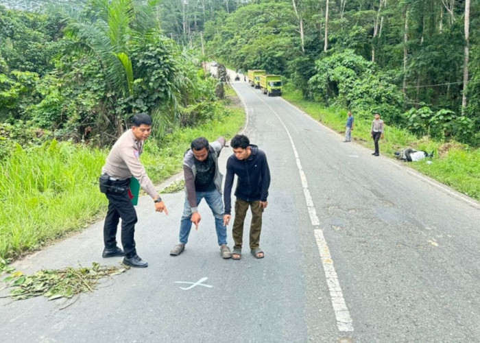 Truk Bermuatan 6 Ton Tabrak Motor di Muara Kaman, 1 Orang Tewas di Tempat
