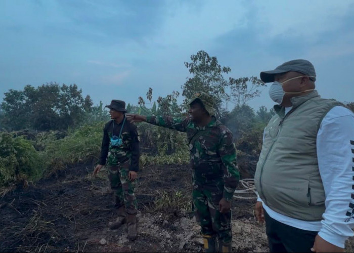 Soal Karhutla di Berau, Gamalis Sebut Lahan Gambut Paling Banyak Terbakar
