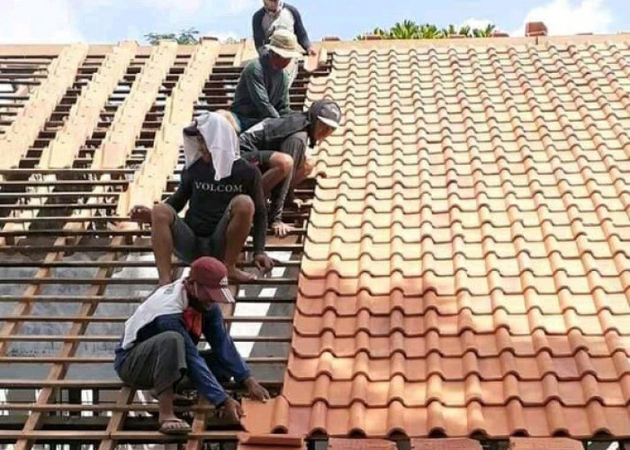  Arsitek Kaltim Tanggapi Wacana Presiden Ganti Atap Rumah Seng dengan Genteng 