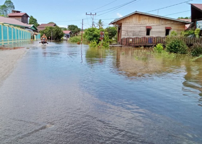 Banjir Kiriman dari Hulu Mahakam Rendam Permukiman di Kutai Barat, Warga Mulai Amankan Barang-barang
