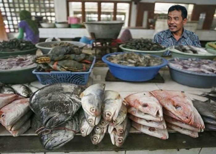 Pemkot Samarinda Segera Bahas Penambahan Kapasitas Listrik Pedagang Ikan Pasar Pagi