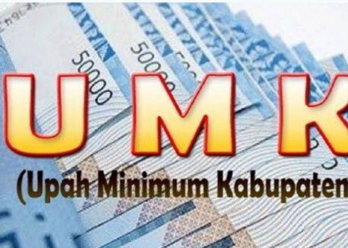 UMK Kubar dan Mahulu 2025 Resmi Ditetapkan, Semua Perusahaan Wajib Patuh