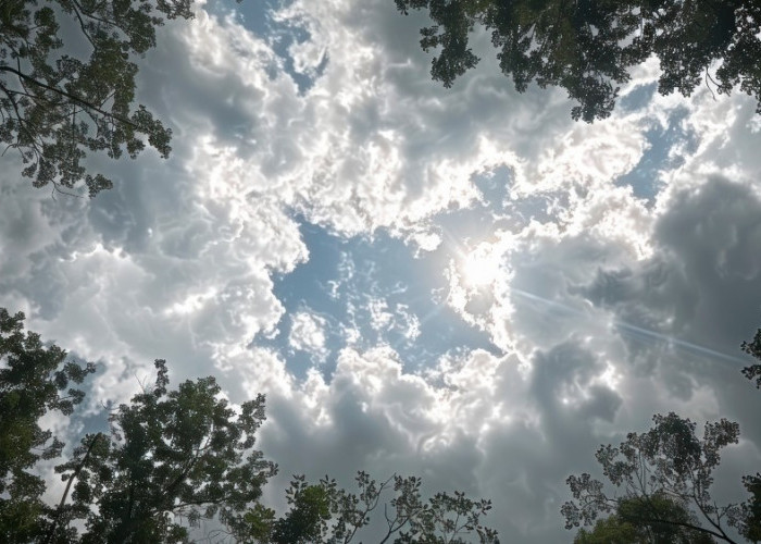 Ramalan Cuaca Kaltim dan IKN, 16 Desember 2025, Cek di Sini!