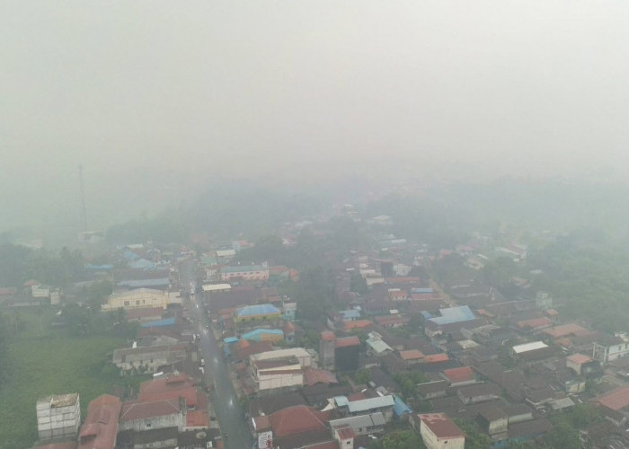 Asap Karhutla Memperburuk Udara di Kaltim, Sekolah Terapkan PJJ selama 3 Hari